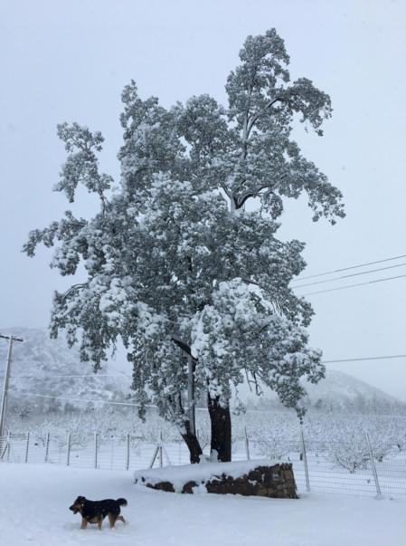 Posada Del Jinete ซานโคเซ เด ไมย์โป ภายนอก รูปภาพ